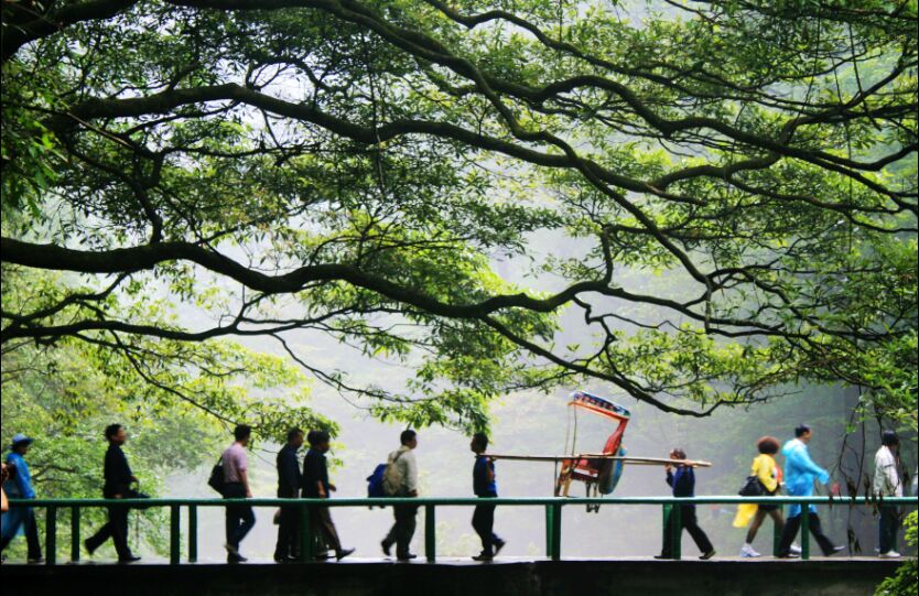 金鞭溪美圖欣賞